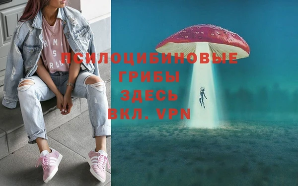 амф Алексеевка