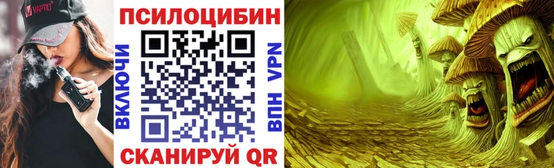 Галлюциногенные грибы Psilocybine cubensis Тосно