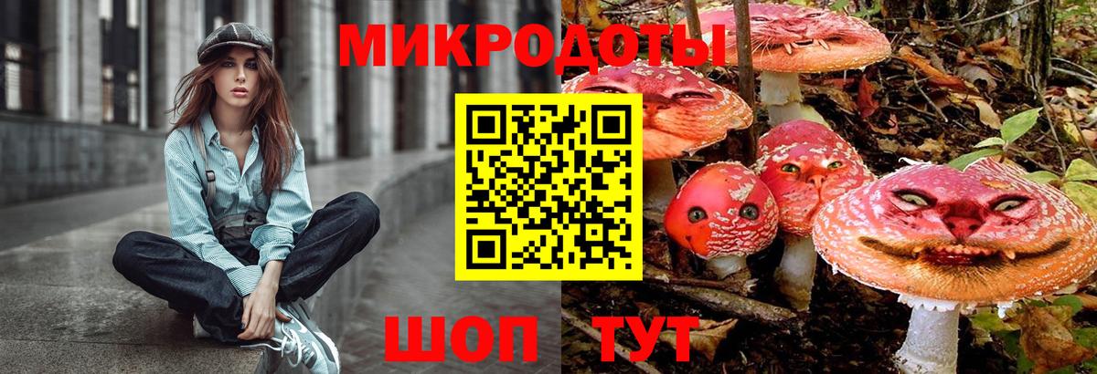 даркнет сайт  Галлюциногенные грибы Psilocybe  Вход с VPN  Галлюциногенные грибы прущие грибы  Тосно 