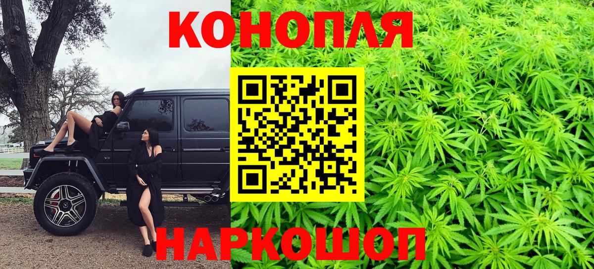 Бошки Шишки марихуана Тосно